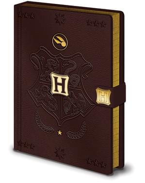 Quidditch notesbog - Harry Potter
