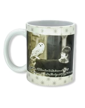 Hedwig og Harry Potter bolli