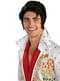 Perruque Elvis Presley homme