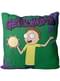 Rick & Morty Cushion