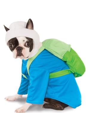Maskeraddräkt Finn Äventyrsdags till hund