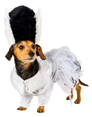 Costum Bride of Frankenstein pentru câini