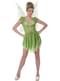 Magic Fairy Costume for Women