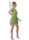 Magic Fairy Costume for Women