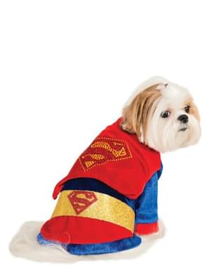 Kostyme for Hund Shiny Superman