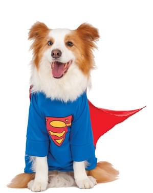 Kostum Superman Anjing Ukuran Plus