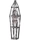 Caged Hanging Skeleton