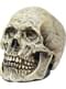 Decorative Skull Figurine