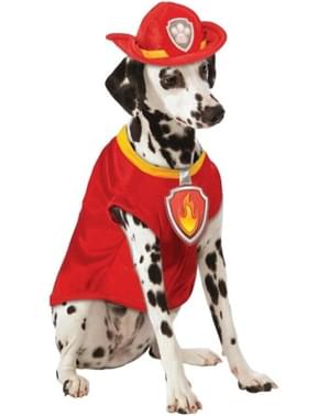 Marshall Paw Patrol Kostyme Hund
