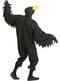 Adults' nocturnal crow costume