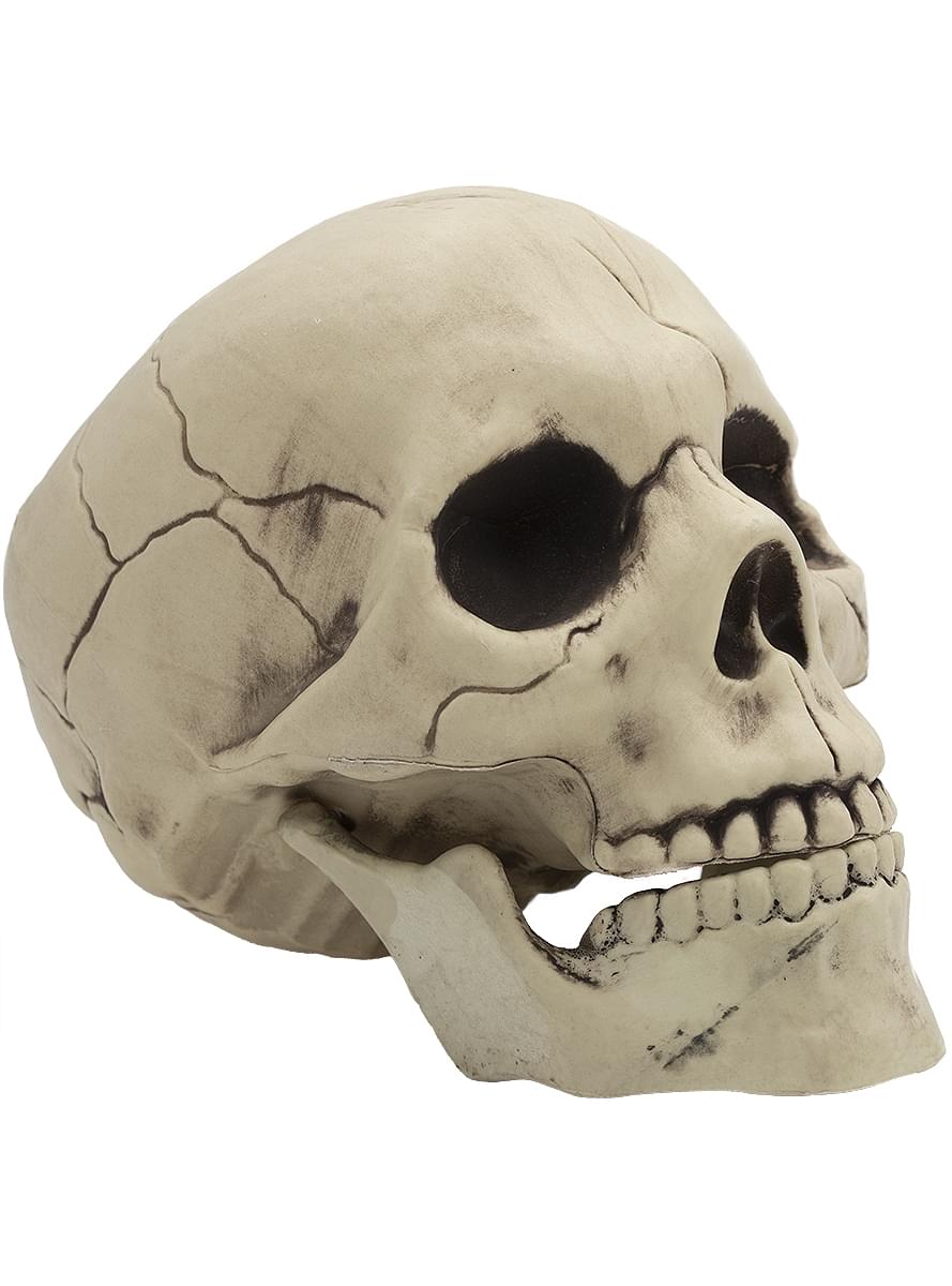 Dekorativt Halloween kranium