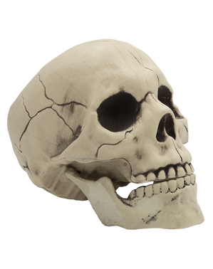 Crâne décoratif Halloween