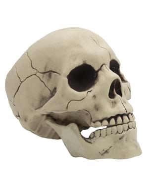 Craniu decorativ de Halloween