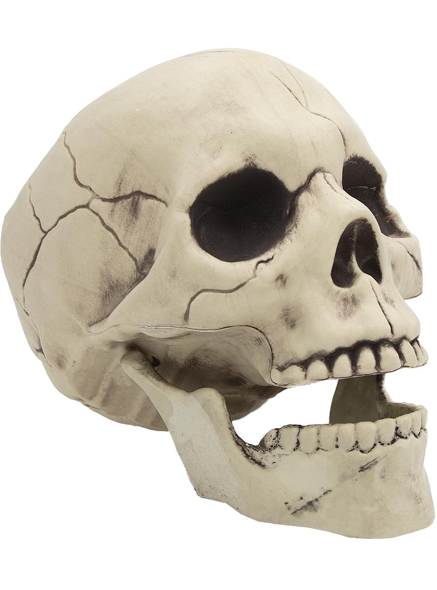 Διακοσμητική Νεκροκεφαλή Halloween 