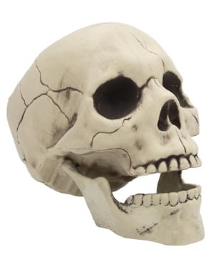 Decorative Halloween Skull