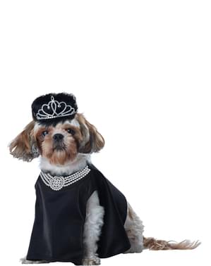 犬のハリウッド歌姫衣装