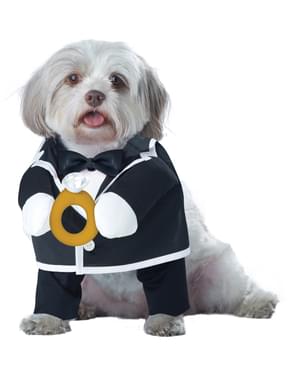 Dog's Elegant Groom Costume