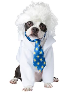 Einstein Costume for Dogs