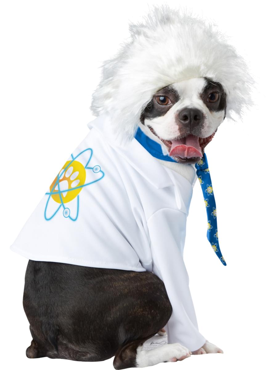 Einstein Kostume til Hunde