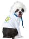 Costume di Einstein per cane