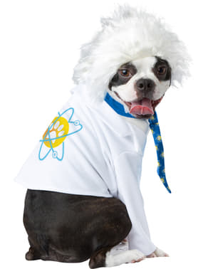 Einstein Kostüm für Hunde