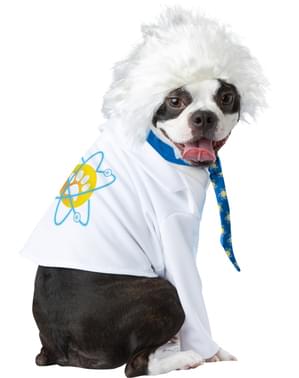 Costum Einstein pentru câini