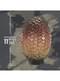 Drogon Egg Replica - Game of Thrones