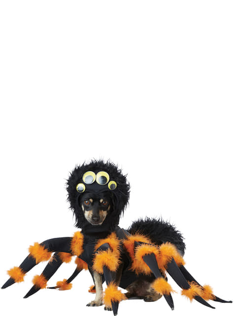 Kostým strašného pavúka pre psa