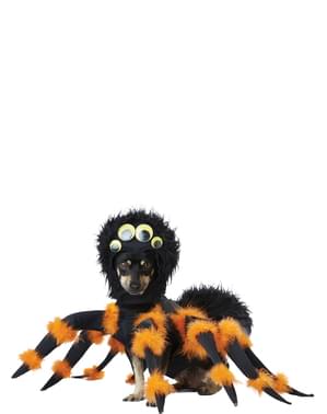 Costum de paianjen înfricoșător pentru cățel
