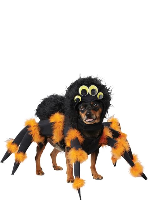 Inspectie voorzien Polijsten Angstaanjagende spin kostuum voor honden. De coolste | Funidelia