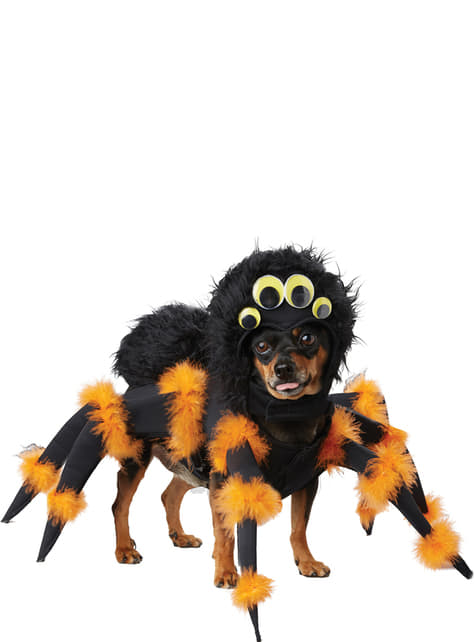 Τρομακτική στολή αράχνη για σκύλους 