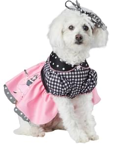 Dog's 1950s Costume