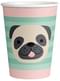 8 Cats and Dogs Cups - Hello Pets