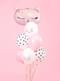 6 globos de gatos