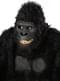 Mask Djungelgorilla för vuxen