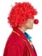 Clownnase rot