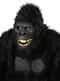 Masker wilde gorilla voor volwassenen