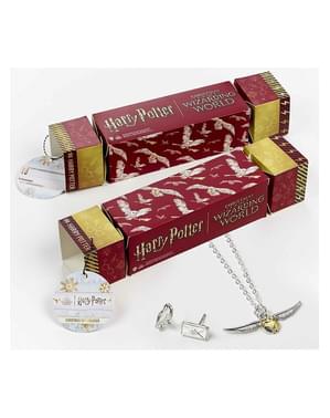 Conjunto de presente colar e brincos Harry Potter
