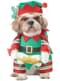 Dog's Christmas Elf Costume