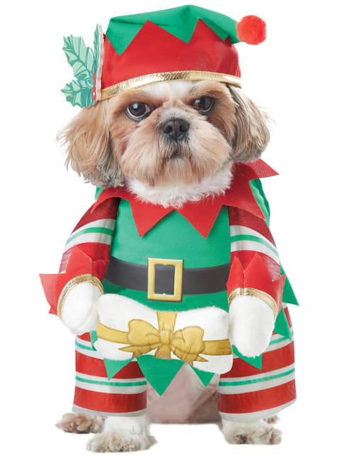 Kostým vianočného škriatka pre psa