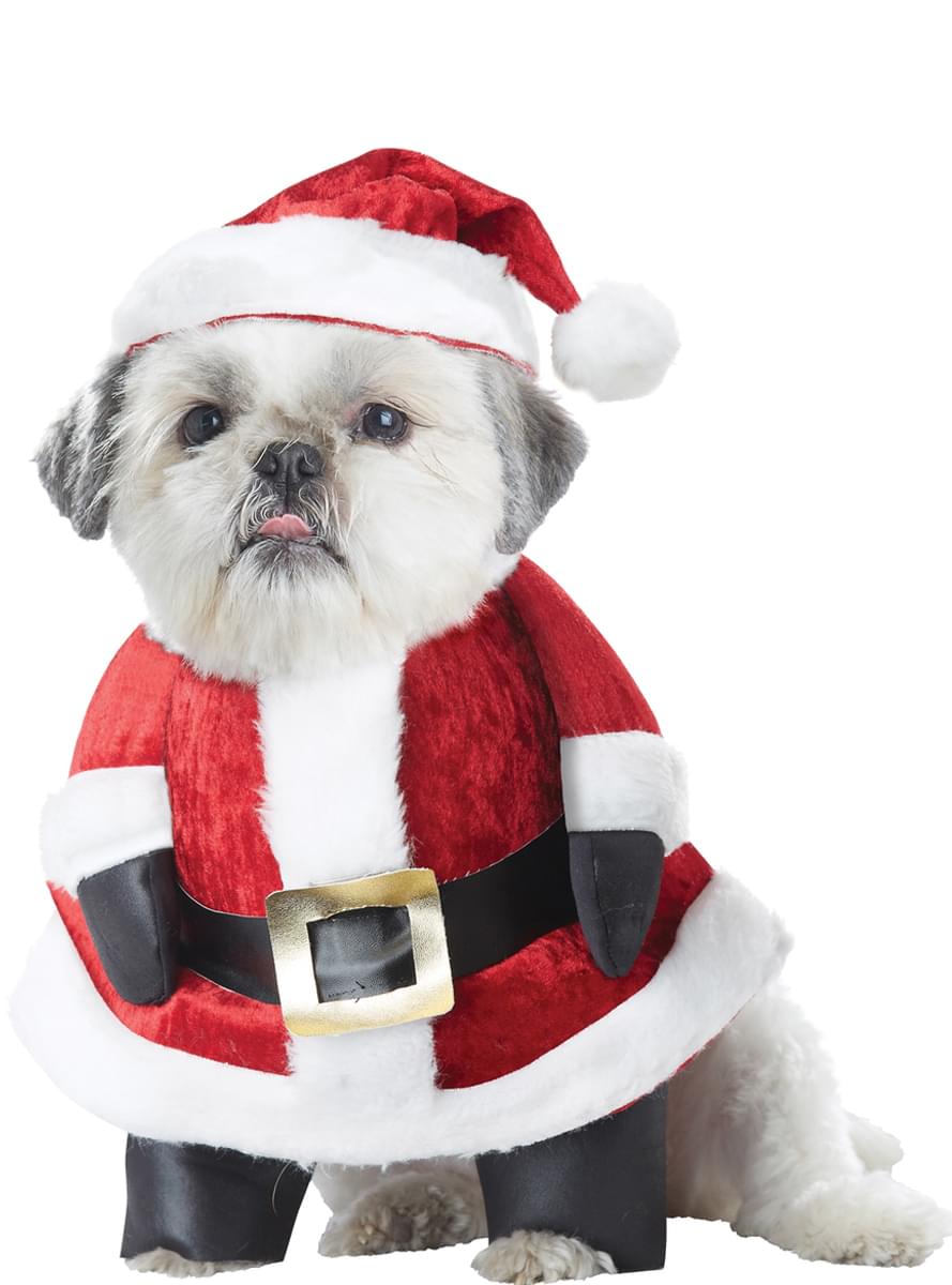 Costume da Babbo Natale per cane. I più divertenti Funidelia