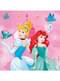 20 Disney Princess Napkins (33x33 cm)