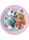 8 tanjura od Paw Patrol Skye & Everest male (20cm)