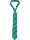 Harry Potter Slytherin Tie and Pin