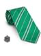 Harry Potter Slytherin Tie and Pin