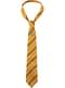 Harry Potter Hufflepuff kravata in igla
