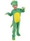 Crocodile Costume for Boys