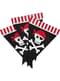 1 festone di bandierine con pirati - Pirates Party