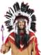 Lance d'indien avec plumes