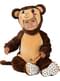 Monkey Costume for Babies